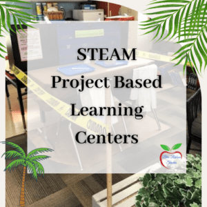 Read more about the article A Project-Based Learning Unit with STEAM